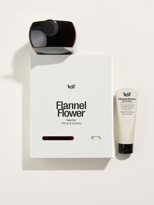 Leif Flannel Flower Hand DUO Small - Collector Store Sydney